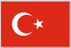 Turkish Translation Services