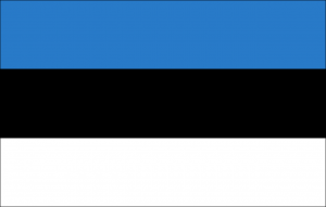Estonian Translation Services